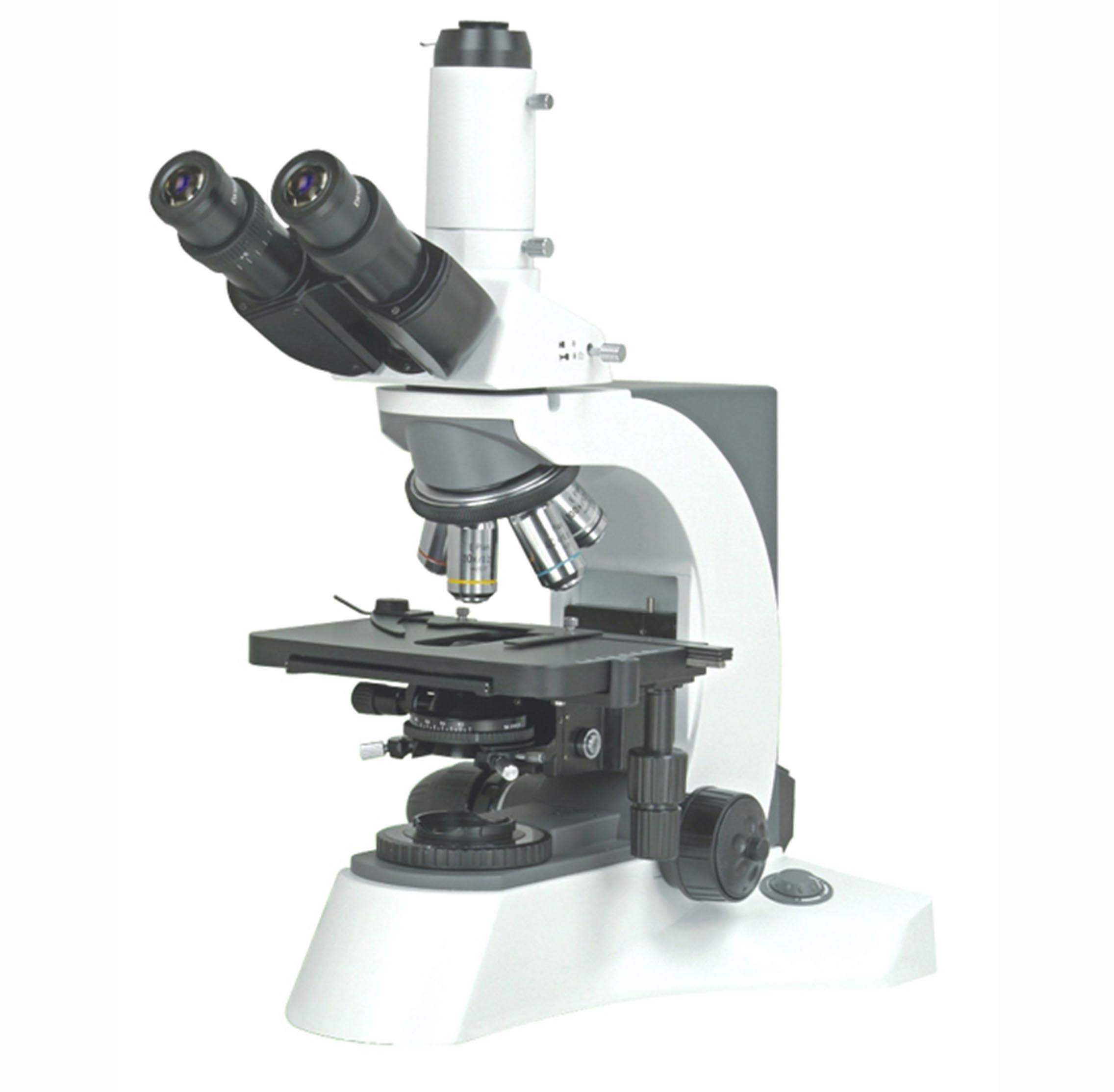 N—800M 显微镜 三目生物显微镜